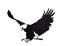 BFC1714 Blackwork Eagles
