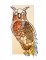 BFC1718 Steampunk Owls