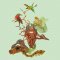 BFC1721 Haeckel's Orchid and 3 Brazilian Hummingbirds