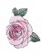 BFC1722 Large Decorative Roses