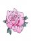 BFC1724 Decorative Roses