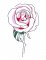 BFC1724 Decorative Roses