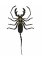 RMG173 Whip Scorpion