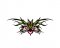 BFC1737 Tribal Hearts