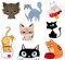 BFC1757 Cat Expressions