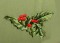 BFC0175 Victorian Santa Wreath