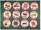 BFC1762 A Dozen Spicy Coasters