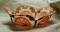 BFC0177  Lace Bowls - Seashell