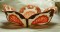 BFC0177  Lace Bowls - Seashell