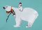 BFC1777 A Polar Bear Christmas