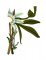 BFC1780 Large Bouquet featuring an Aztec Lily