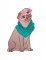 BFC1782 Hipster Pets - Dogs and Cats - 10
