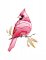 BFC1784 Sheer Cardinals