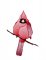 BFC1784 Sheer Cardinals