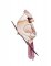 BFC1784 Sheer Cardinals