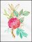 BFC1791 Watercolor Wild Roses