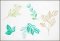 BFC1791 Watercolor Wild Roses