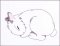 BFC1799 Cute Bunnies Funset