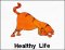 BFC1806 Yoga Cats