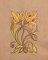 BFC1816 Art Nouveau Quilting Elements