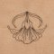 BFC1816 Art Nouveau Quilting Elements