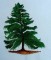 BFC0182  Winter Greenery