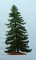 BFC0182  Winter Greenery