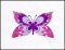 BFC1827 Birds, Flowers & Butterflies