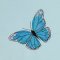 BFC1832 The Butterfly Fairy