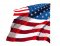 BFC1833 Large Eagle Portrait with American Flag