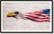 BFC1833 Large Eagle Portrait with American Flag