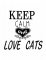 BFC1851 Cat Quote Fun Set