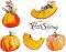 BFC1855 The Mouse and Pumpkin Thanksgiving