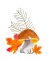 BFC1867 Mushrooms with a Touch of Fall