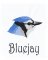 BFC1868 Backyard Bird Portraits