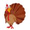 BFC1870 Fun Turkey Fun Set