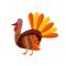 BFC1870 Fun Turkey Fun Set