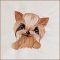 BFC1883 Pretty, Pretty Yorkies!