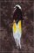 BFC1888 Large Bird of Paradise