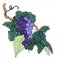 BFC0190 Lace Fabric Bowl-Grape Trellis