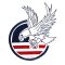 BFC1903 Four Patriotic Eagles Fun Set