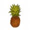BFC1912  Fun with the Tropics
