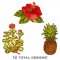 BFC1912  Fun with the Tropics