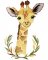 BFC1916 Baby Animals of Africa