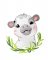 BFC1916 Baby Animals of Africa