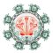 BFC1919 Mandalas from the Sea