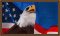 BFC1920 Large Eagle with American Flag IV