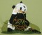 BFC0194 Pandas of the Orient