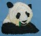 BFC0194 Pandas of the Orient