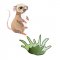 BFC1955 Animal Babies of the Forest